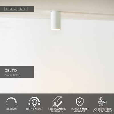Lucide DELTO - Plafondspot - Ø 5,5 cm - LED Dim to warm - GU10 - 1x5W 2200K/3000K - Wit